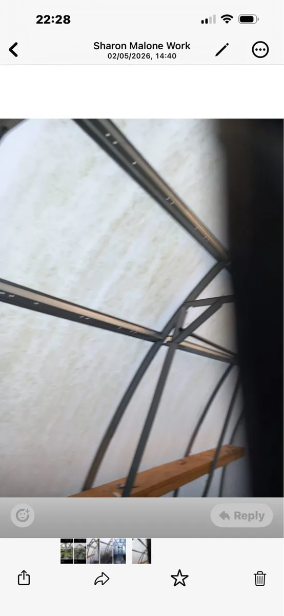 Pollytunnel - Image 4