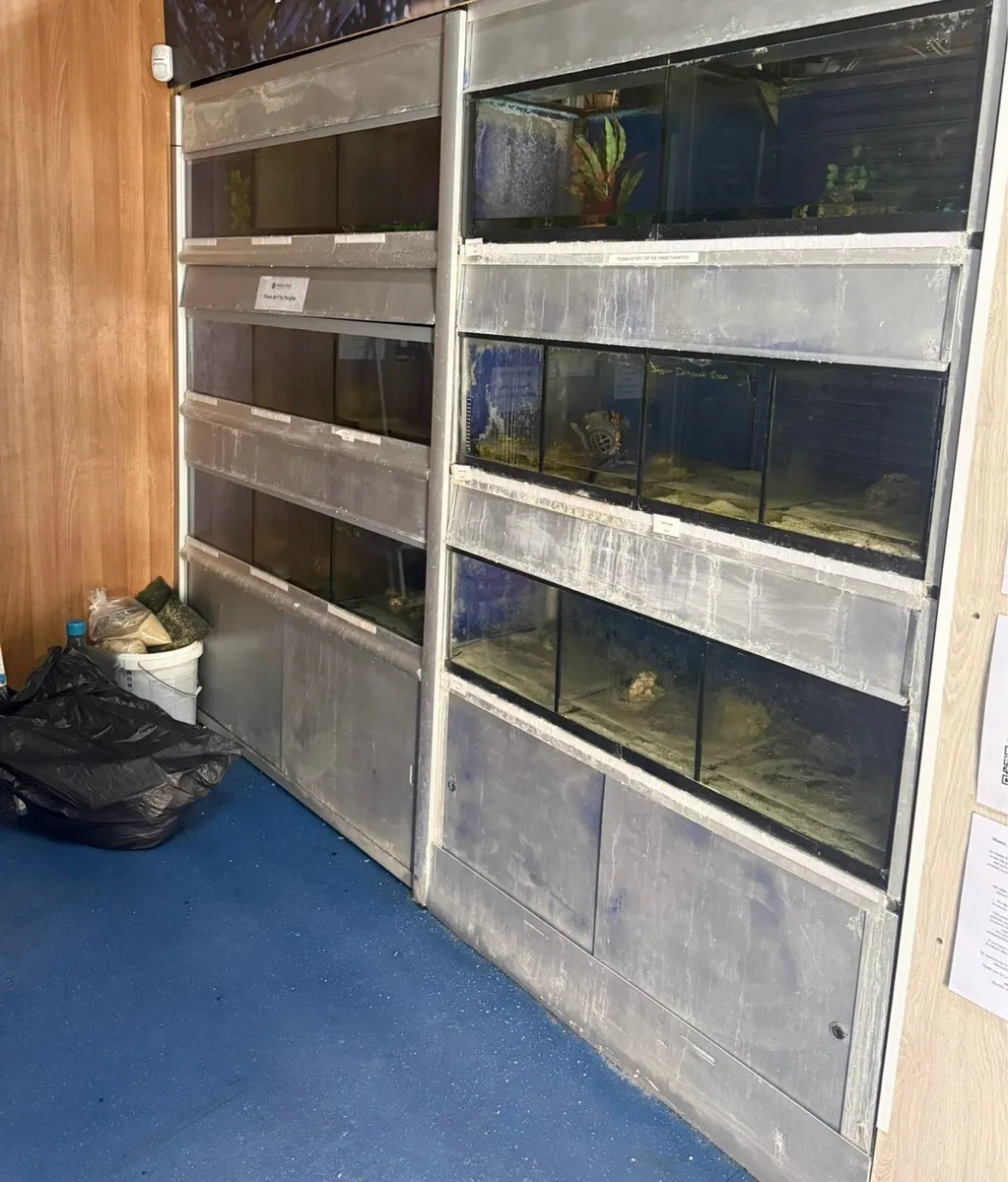 Fish bay - Image 1
