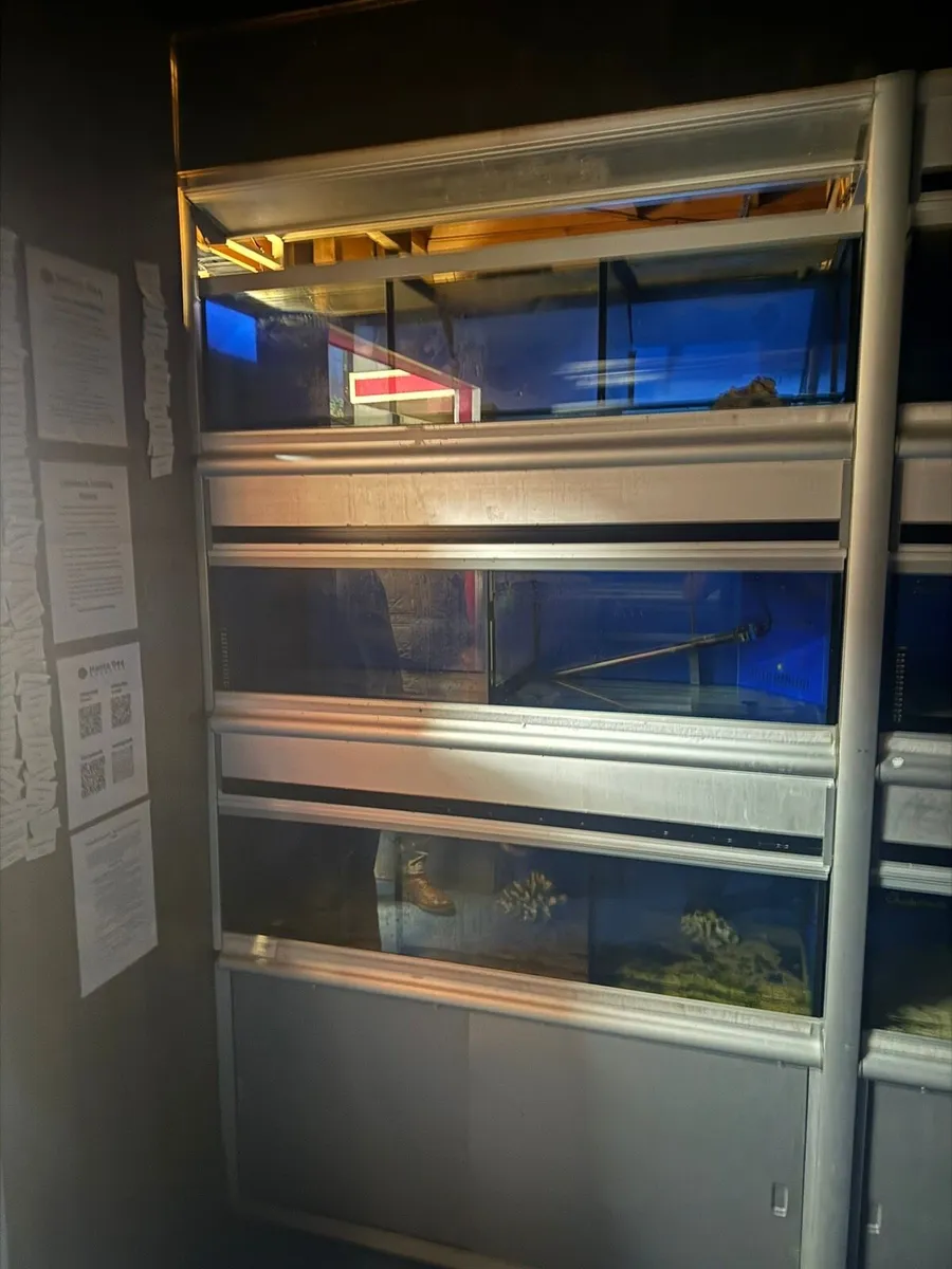 Fish bay - Image 2