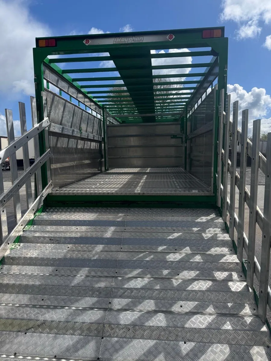 Broughan cattle livestock Trailer - Image 4