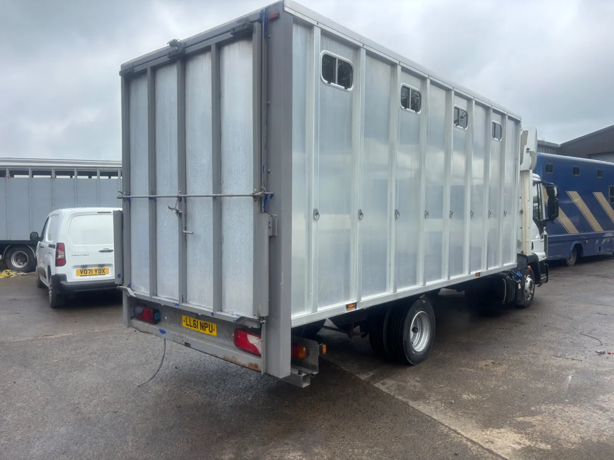 Tri star horse box - Image 3