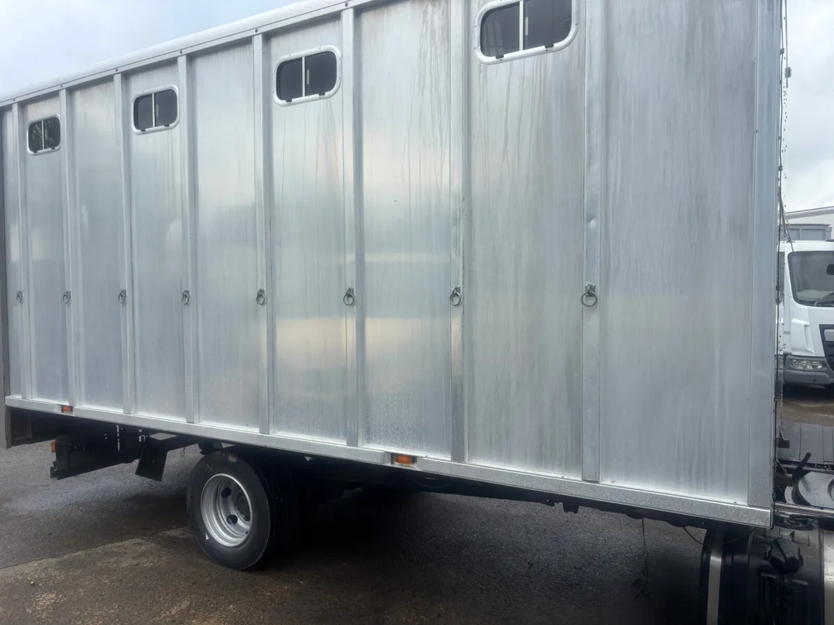 Tri star horse box - Image 2