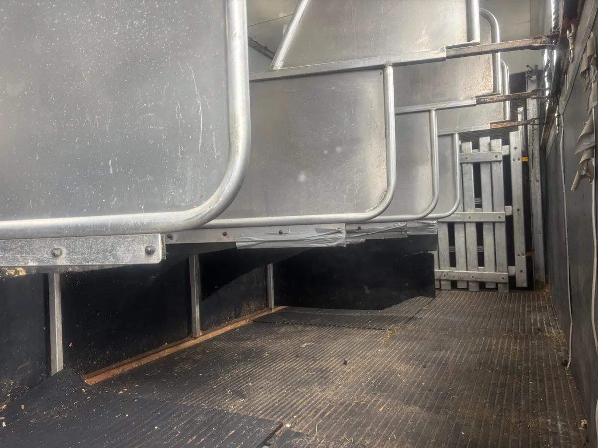 Tri star horse box - Image 4