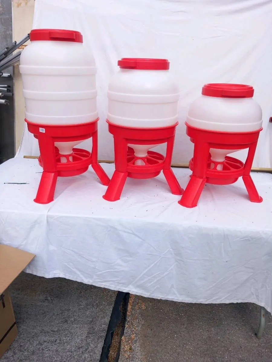 Larchill poultry sale this Saturday 9th - Image 2