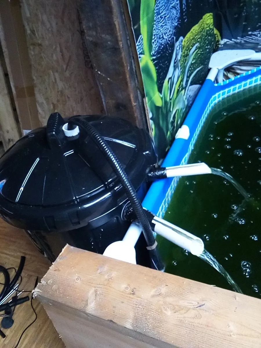 8ft x 5ft pool, pond complete with filter pump and - Image 3