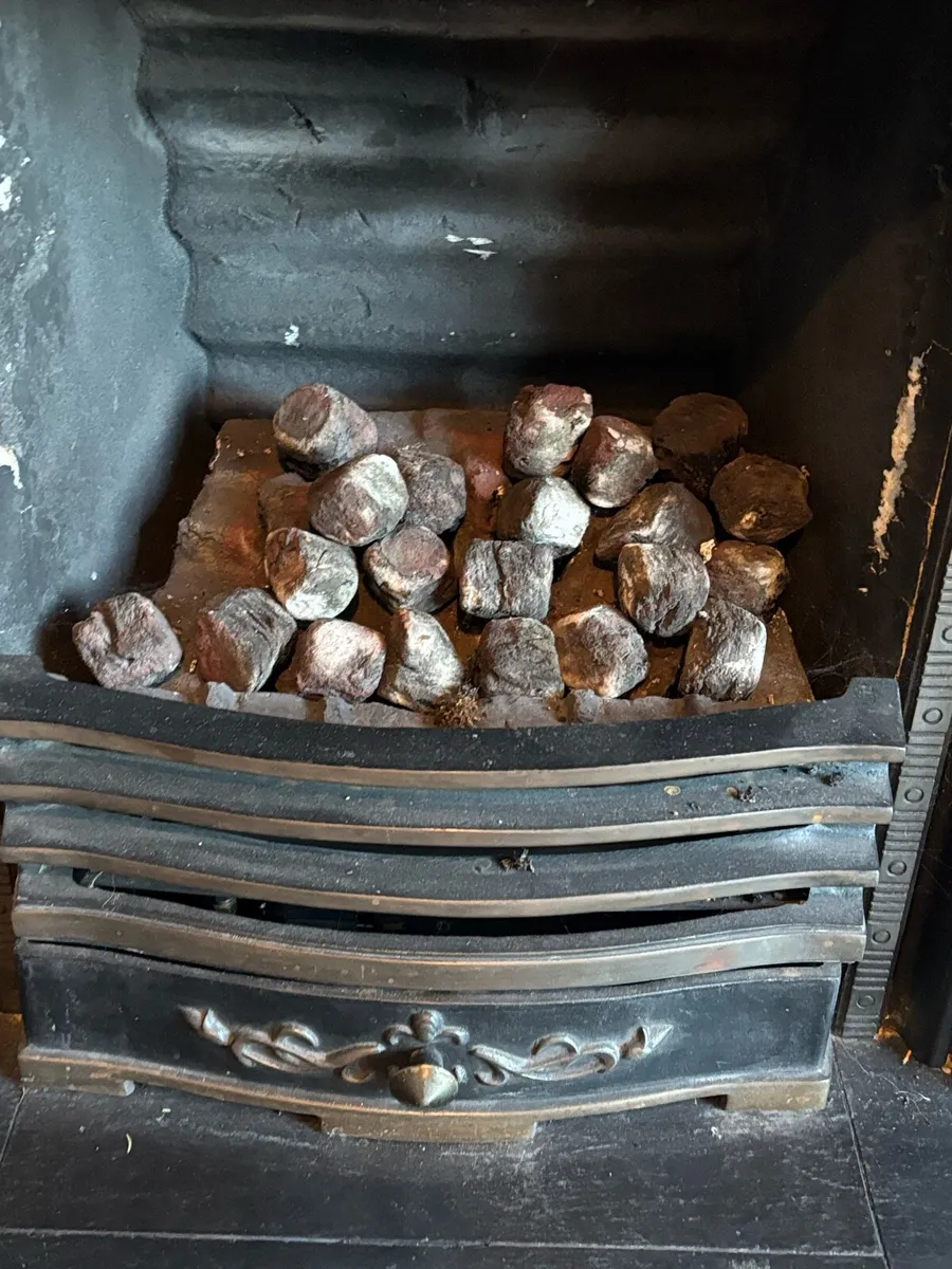 Cast iron fireplace and gas stove - Image 2