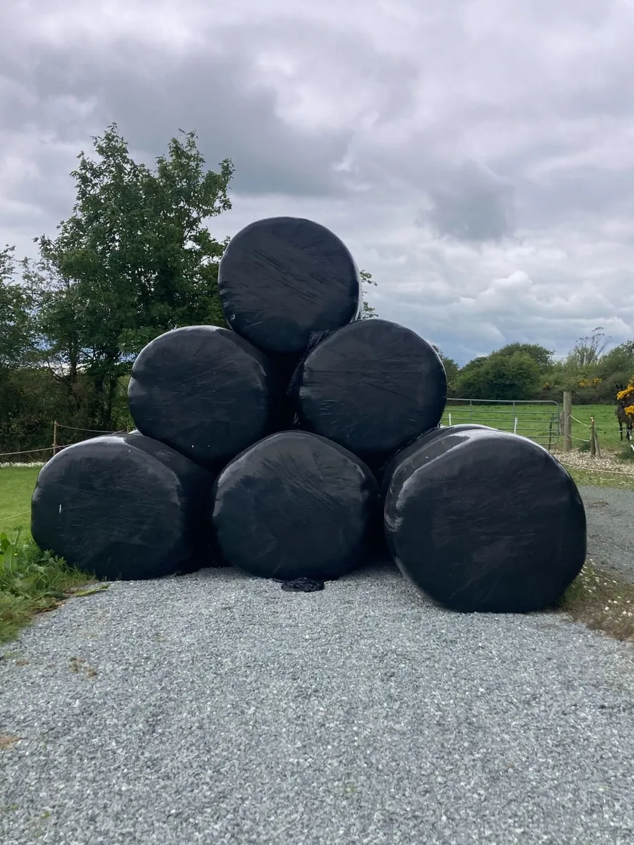Horse Haylage - Image 3