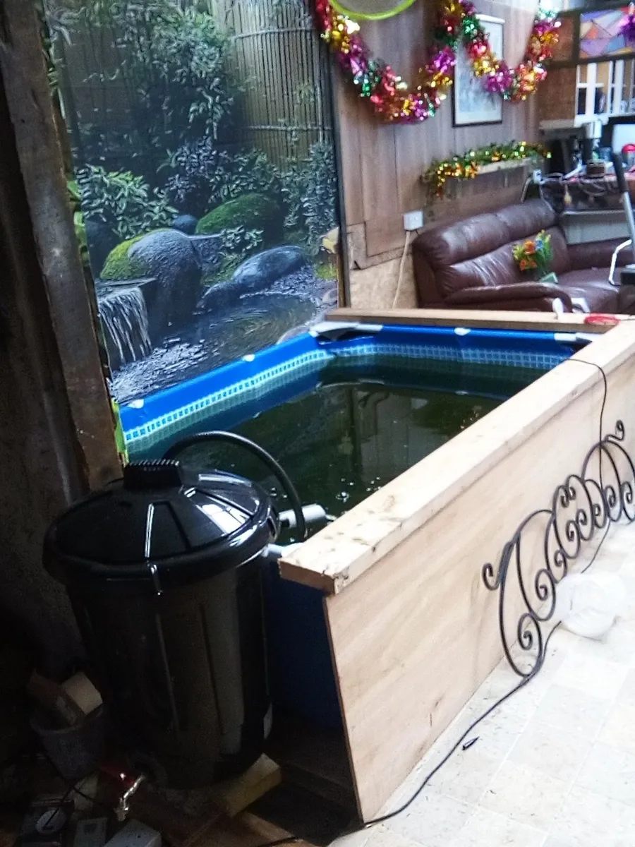 8ft x 5ft pond complete with filter pump and fish - Image 1