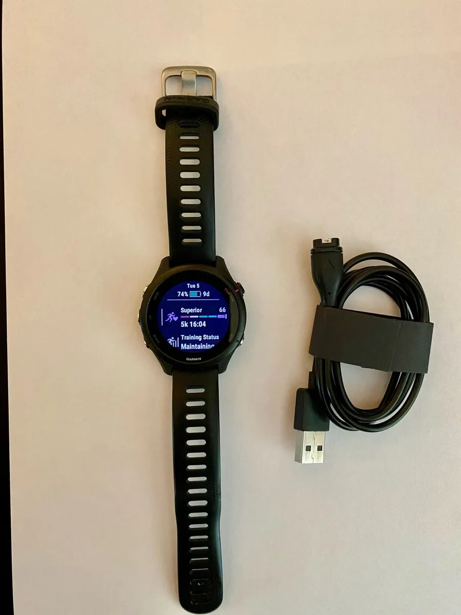 Garmin Forerunner 255S Music - Image 3