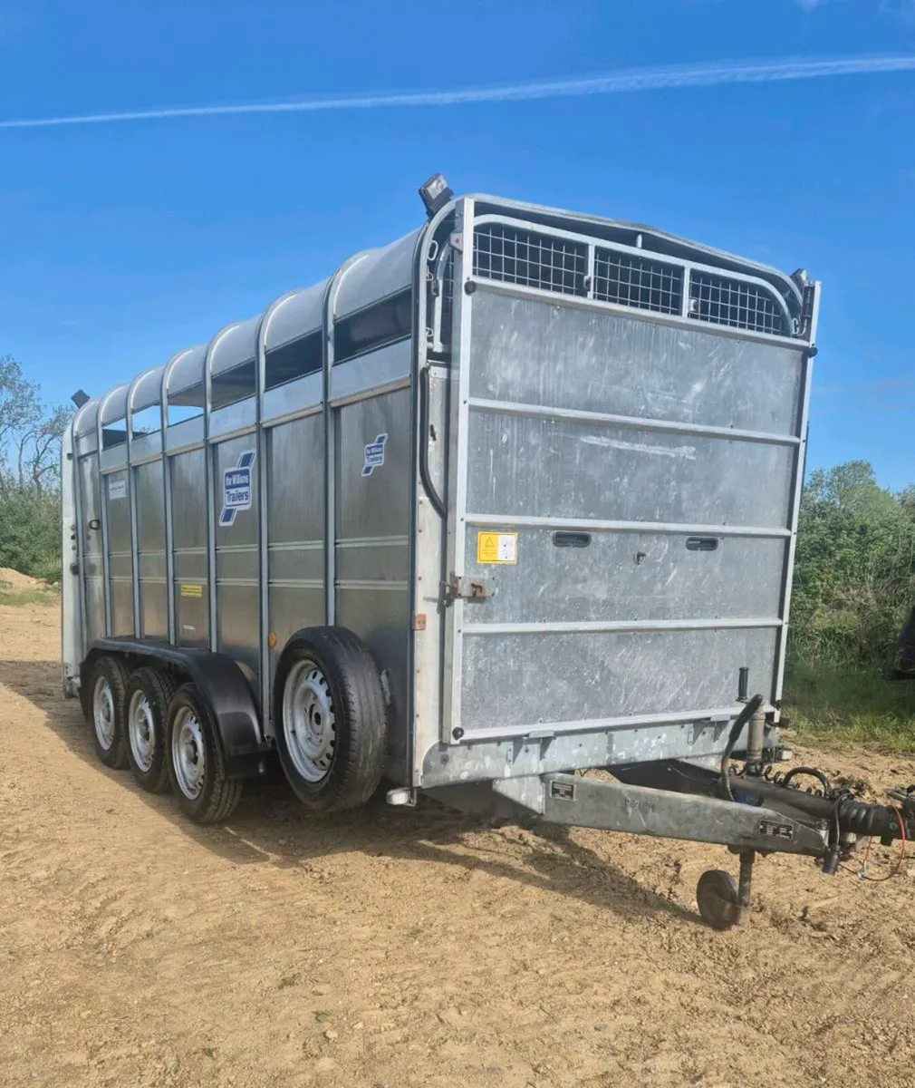Ifor williams 14 x 6 cattle trailer - Image 1