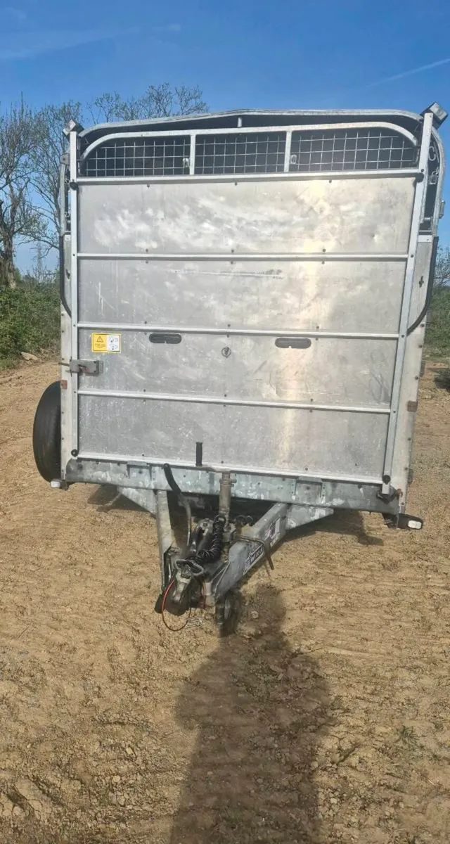 Ifor williams 14 x 6 cattle trailer - Image 2