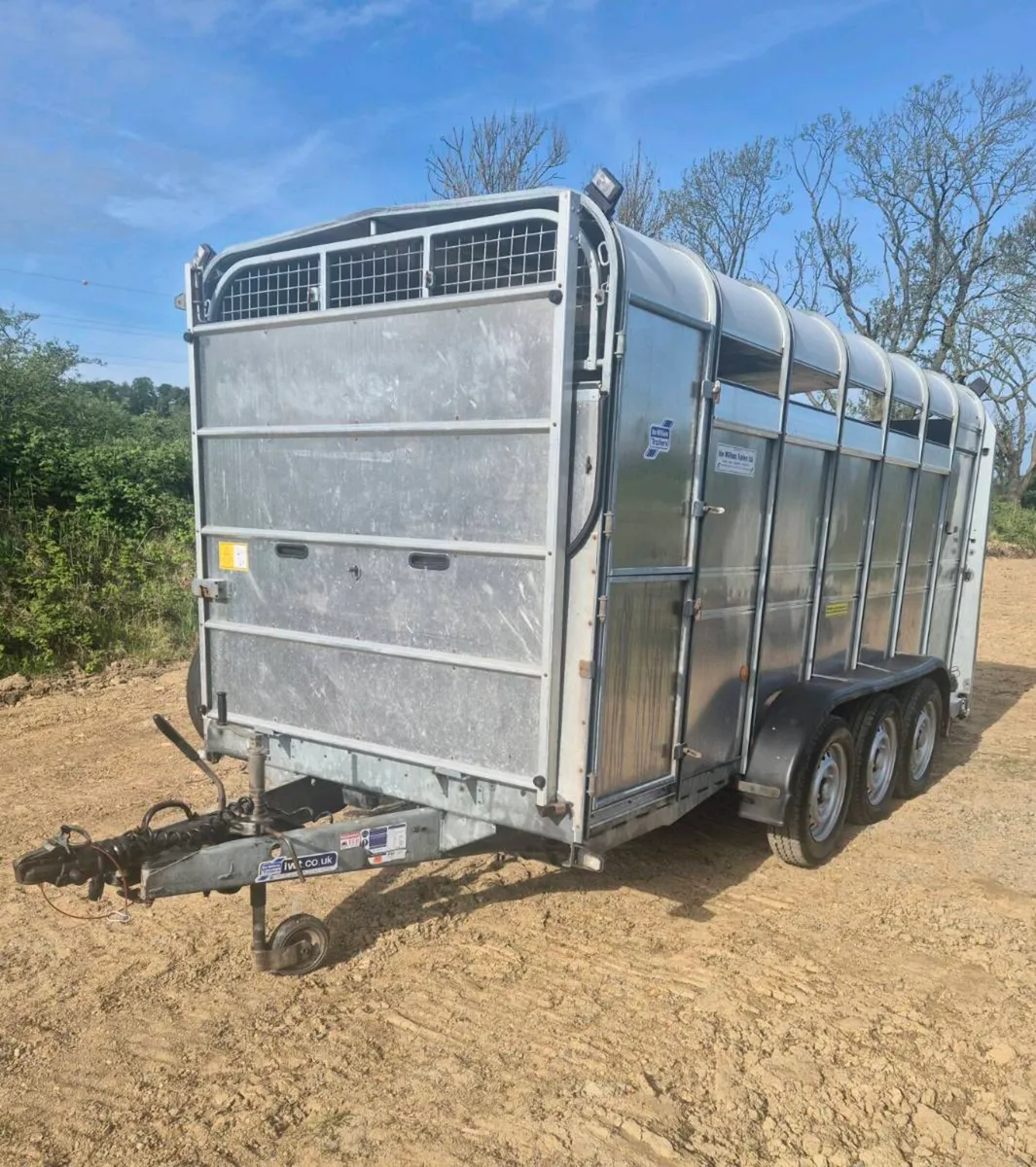 Ifor williams 14 x 6 cattle trailer - Image 3