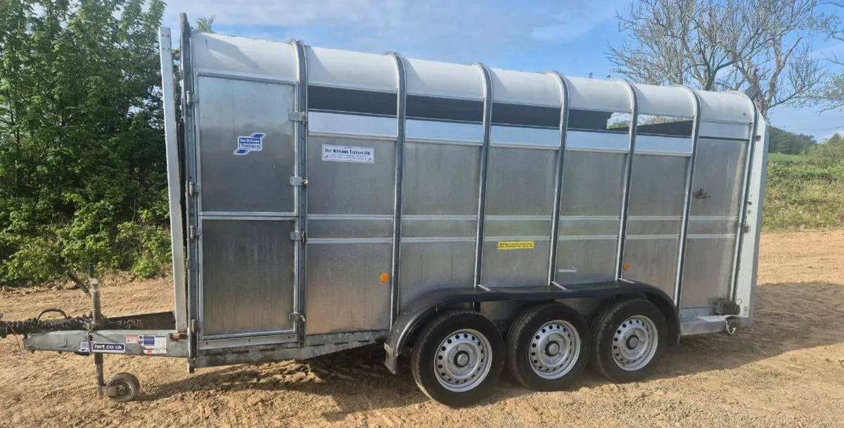 Ifor williams 14 x 6 cattle trailer - Image 4