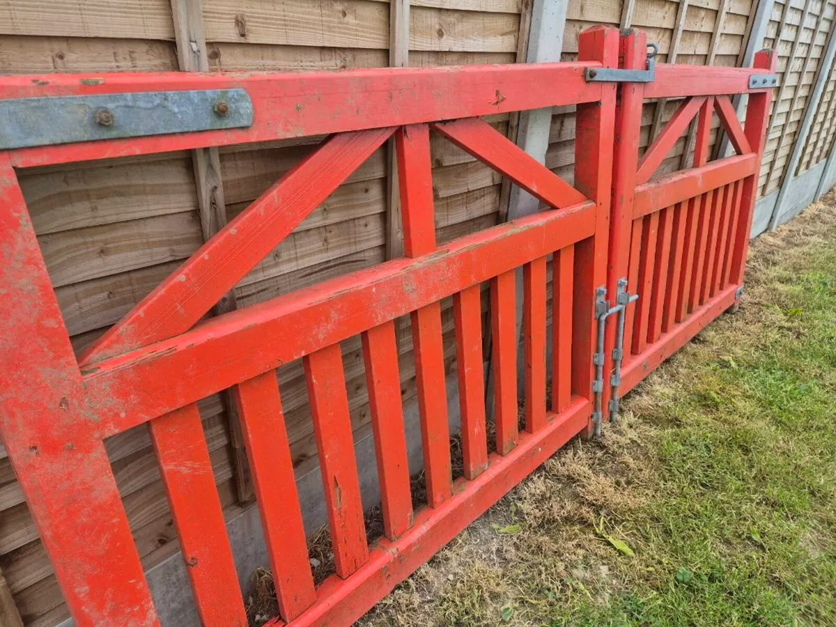 10 foot gates - Image 1