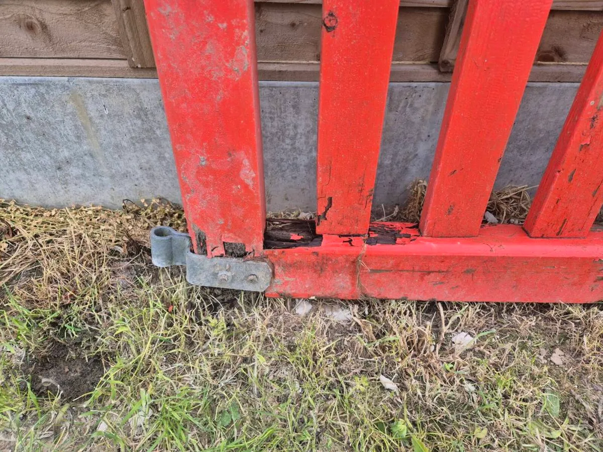10 foot gates - Image 3