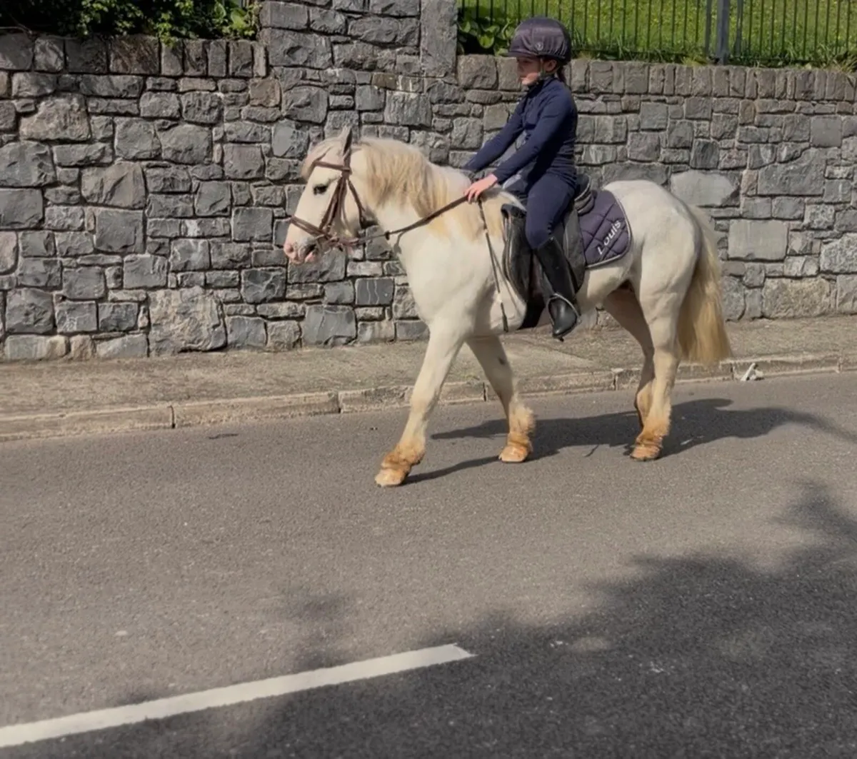 Pony - Image 1