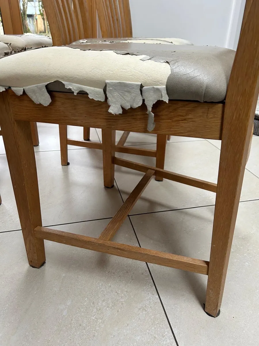 Dining Chairs x 6 - Light Oak - Image 2