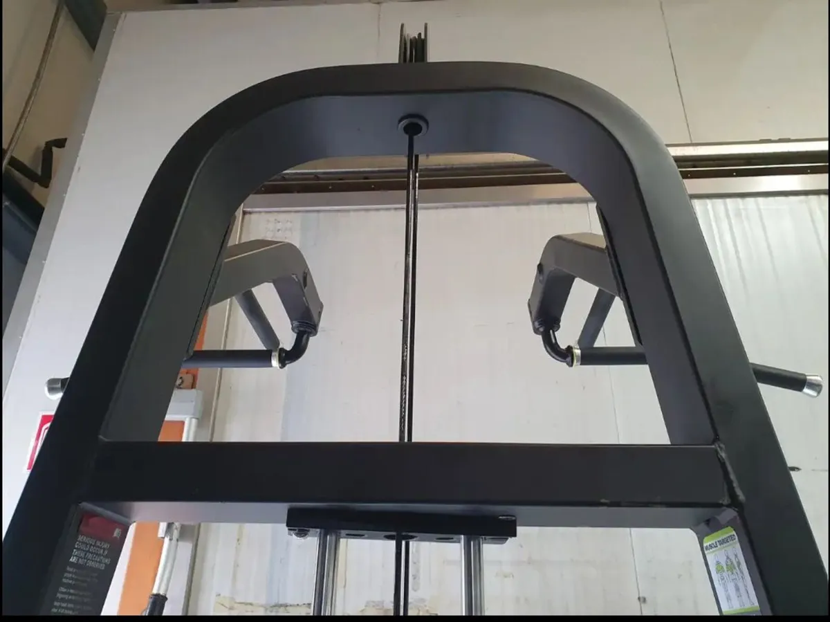 Apollo Assisted Pull Up/Dip Machine - MUST GO - Image 3