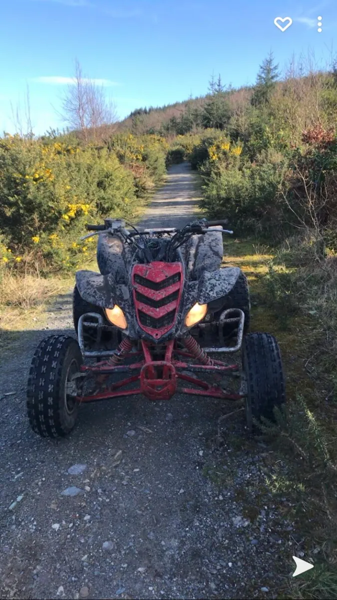 Raptor 660 - Image 2