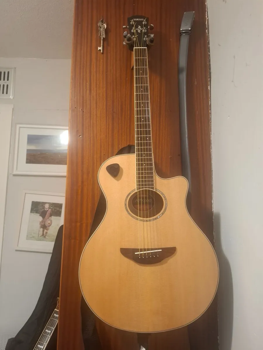 Electroacoustic guitar - Image 1