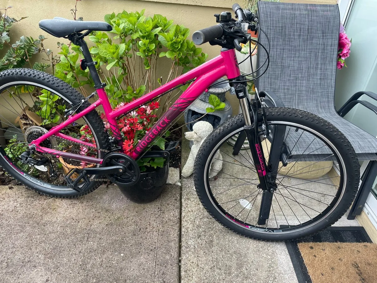 Ridgeback MountainBike - Image 2