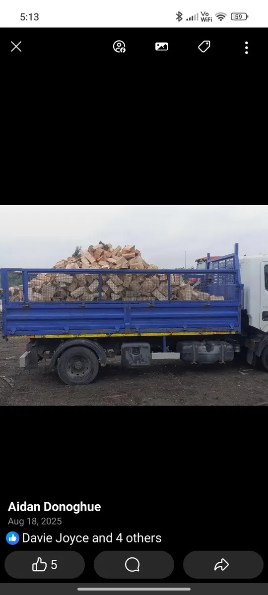 Digger hire / fuel supplied/ firewood. - Image 4