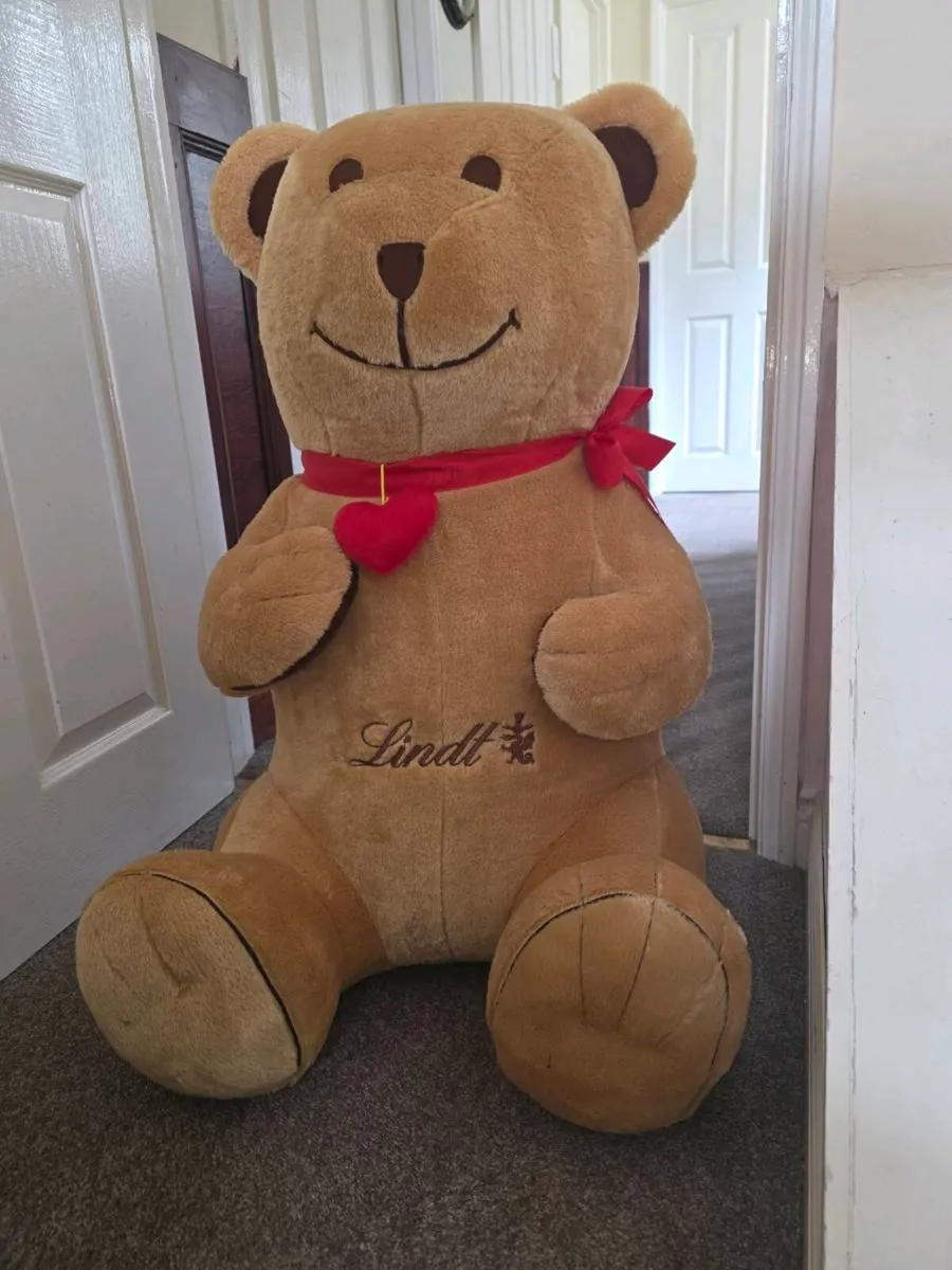 HUGE LIFE SIZED LINDZ Brand New Heavy Unisex Teddy - Image 1