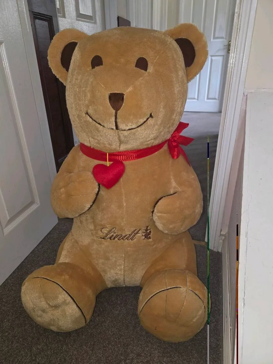 HUGE LIFE SIZED LINDZ Brand New Heavy Unisex Teddy - Image 2