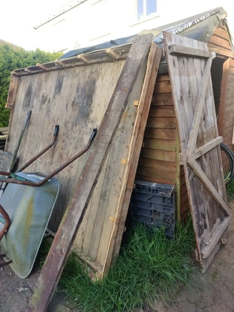 Free old shed and decking - Image 3