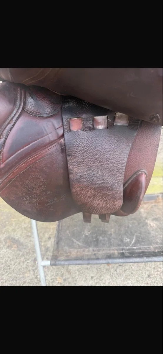 Saddle - Image 2