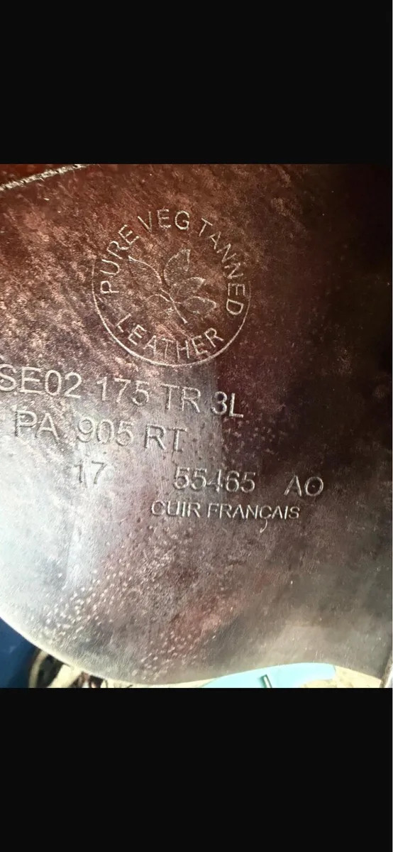 Saddle - Image 3
