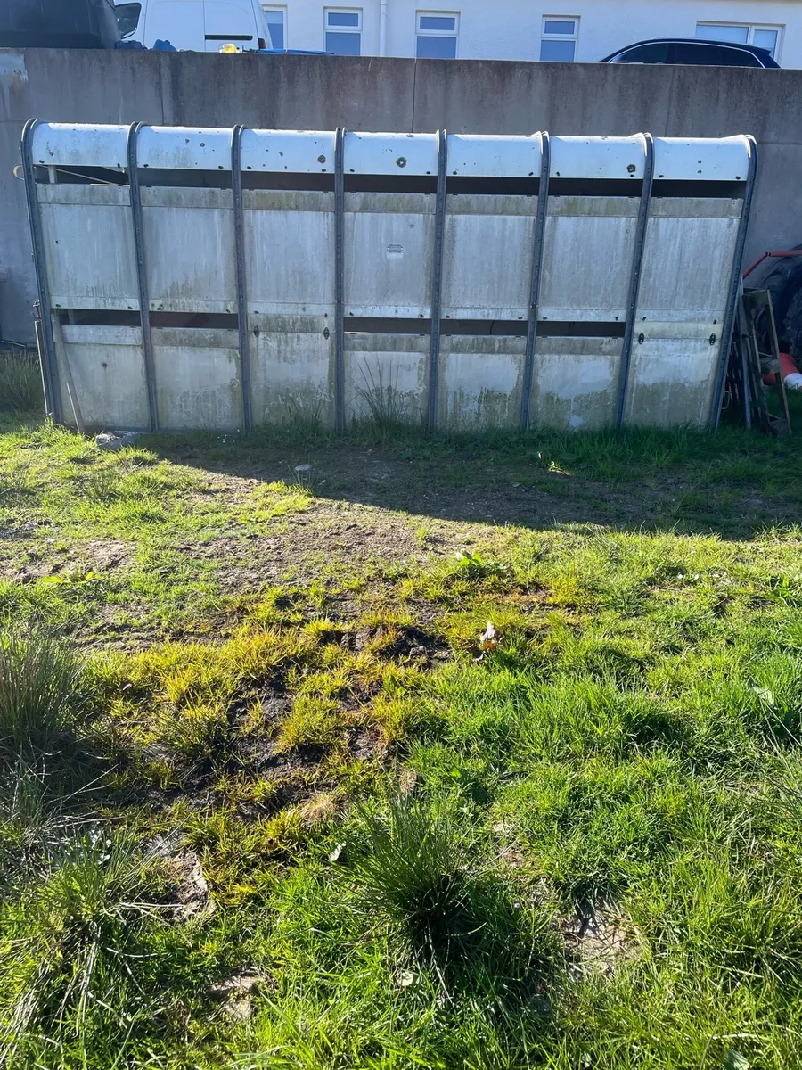 12f cattle body - Image 1