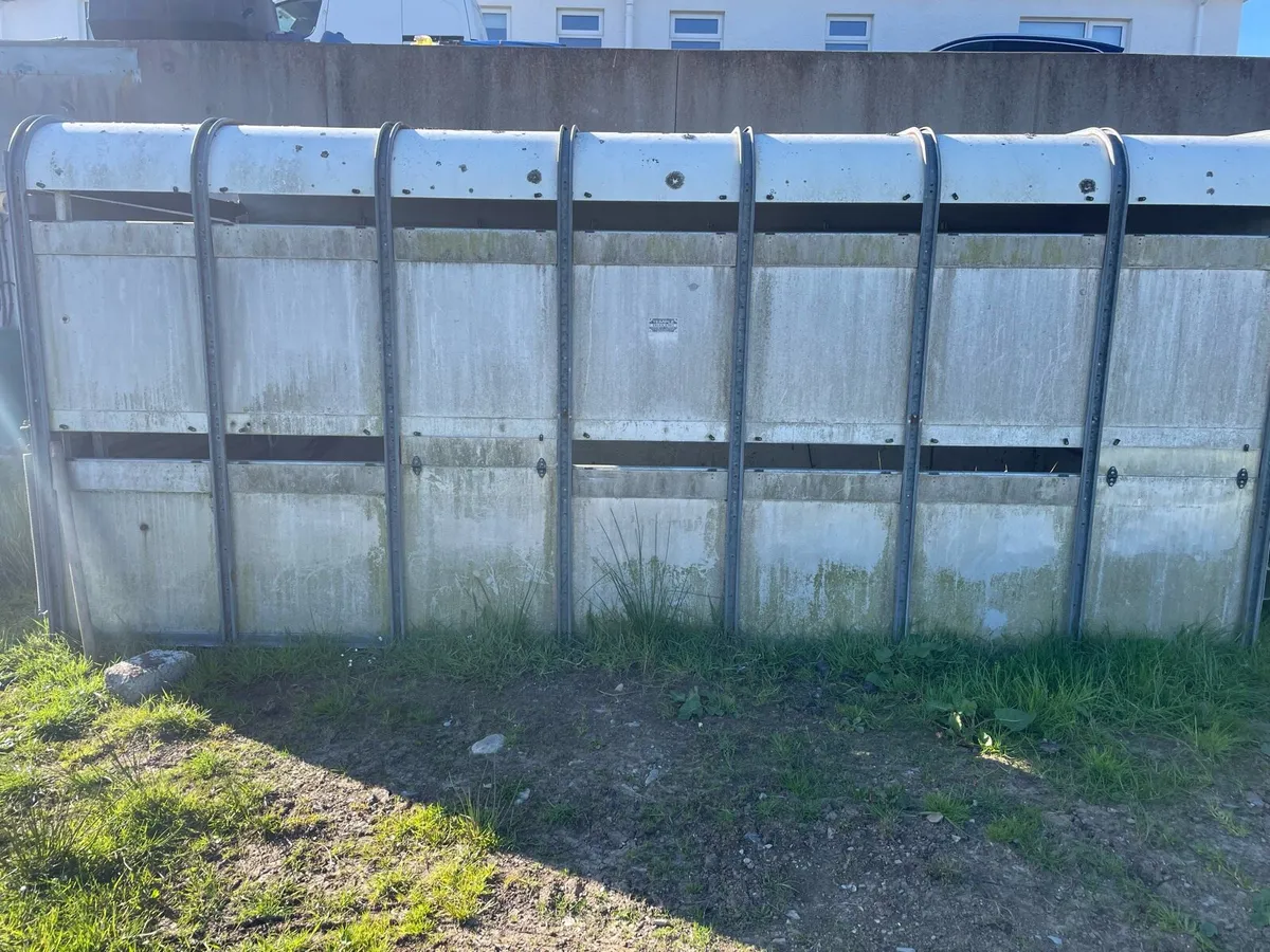 12f cattle body - Image 2