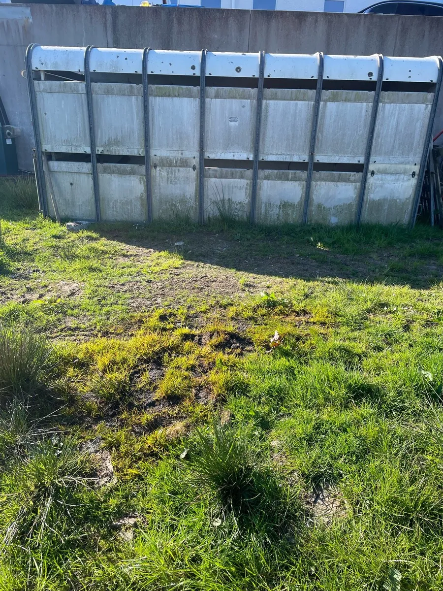 12f cattle body - Image 3