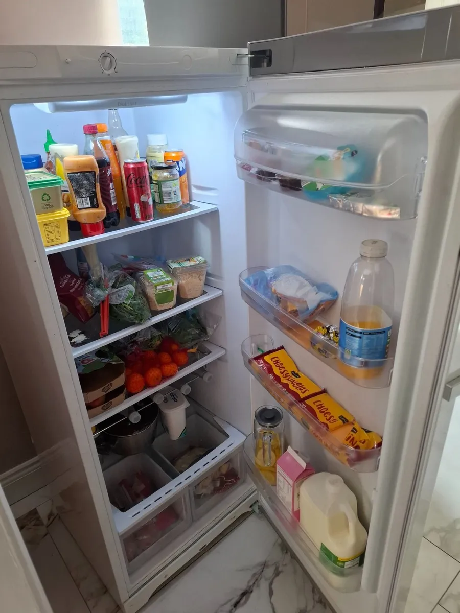 5ft Stand alone Fridge - Image 2
