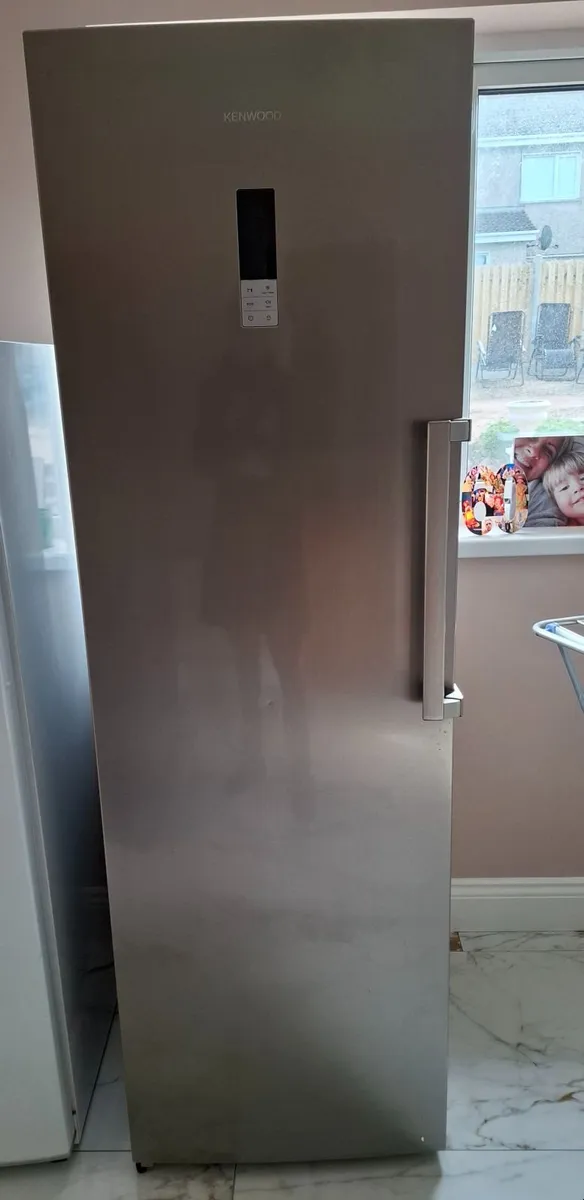 6ft stand alone Freezer - Image 1