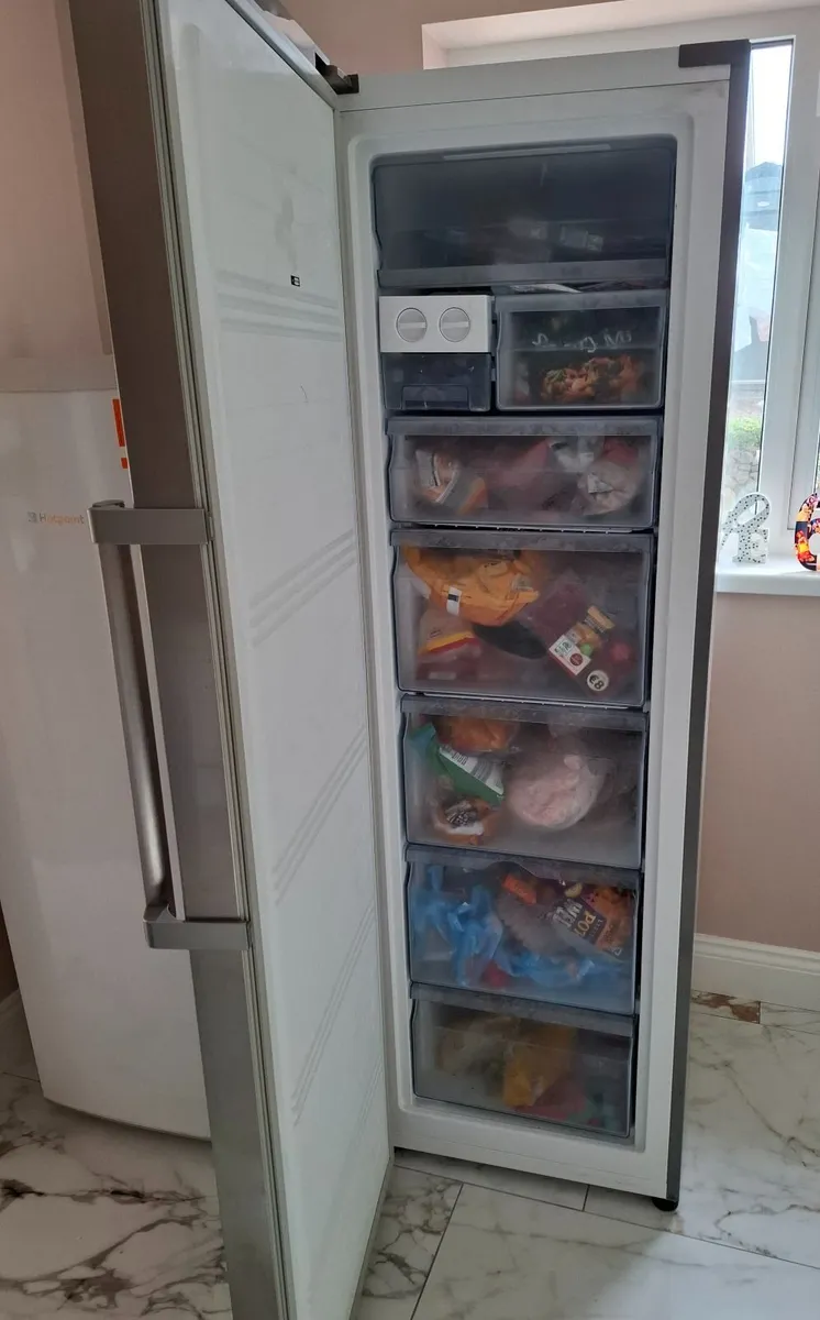 6ft stand alone Freezer - Image 2