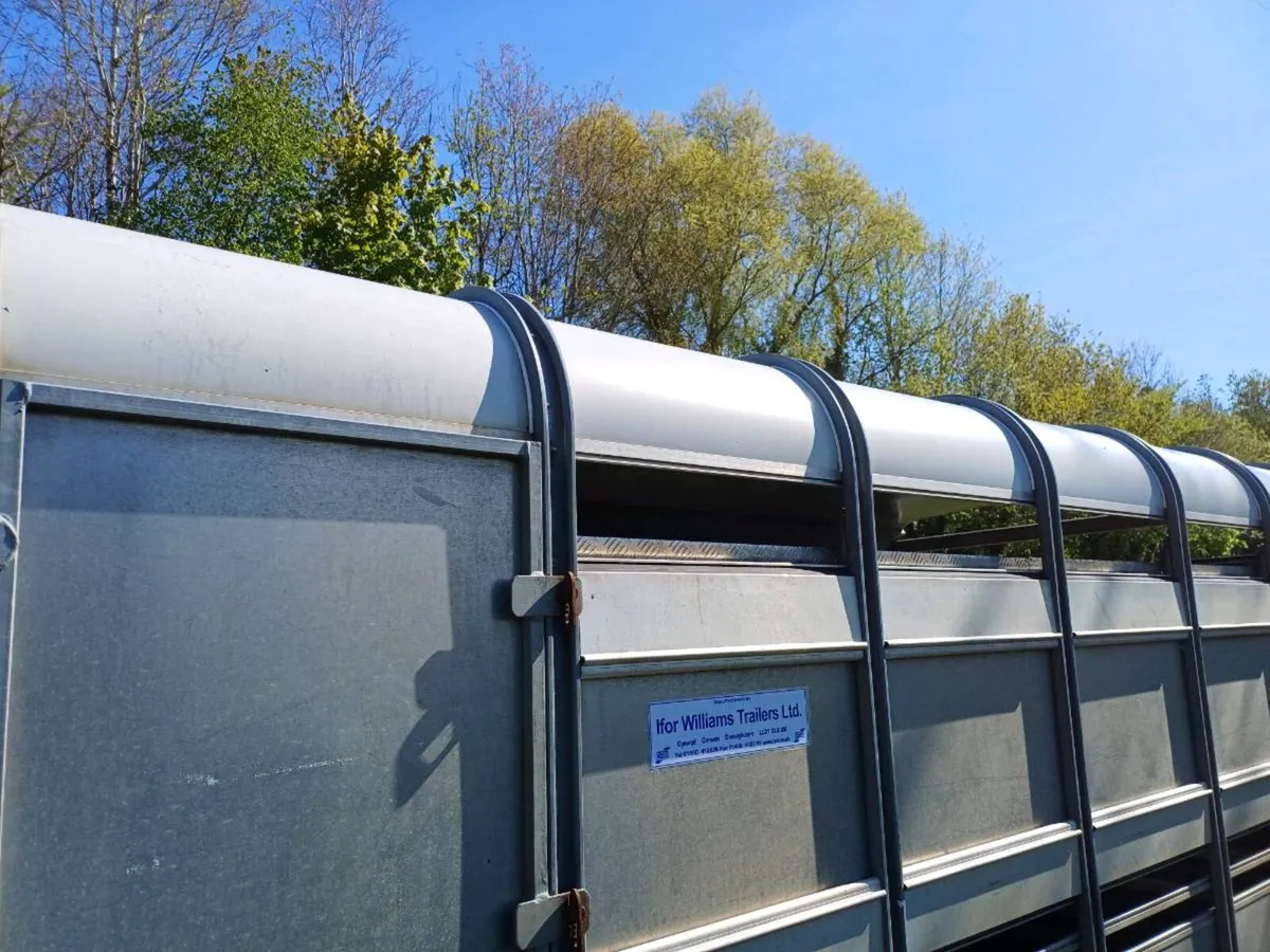 Ifor williams 12 x 6 livestock trailer €5450 - Image 3