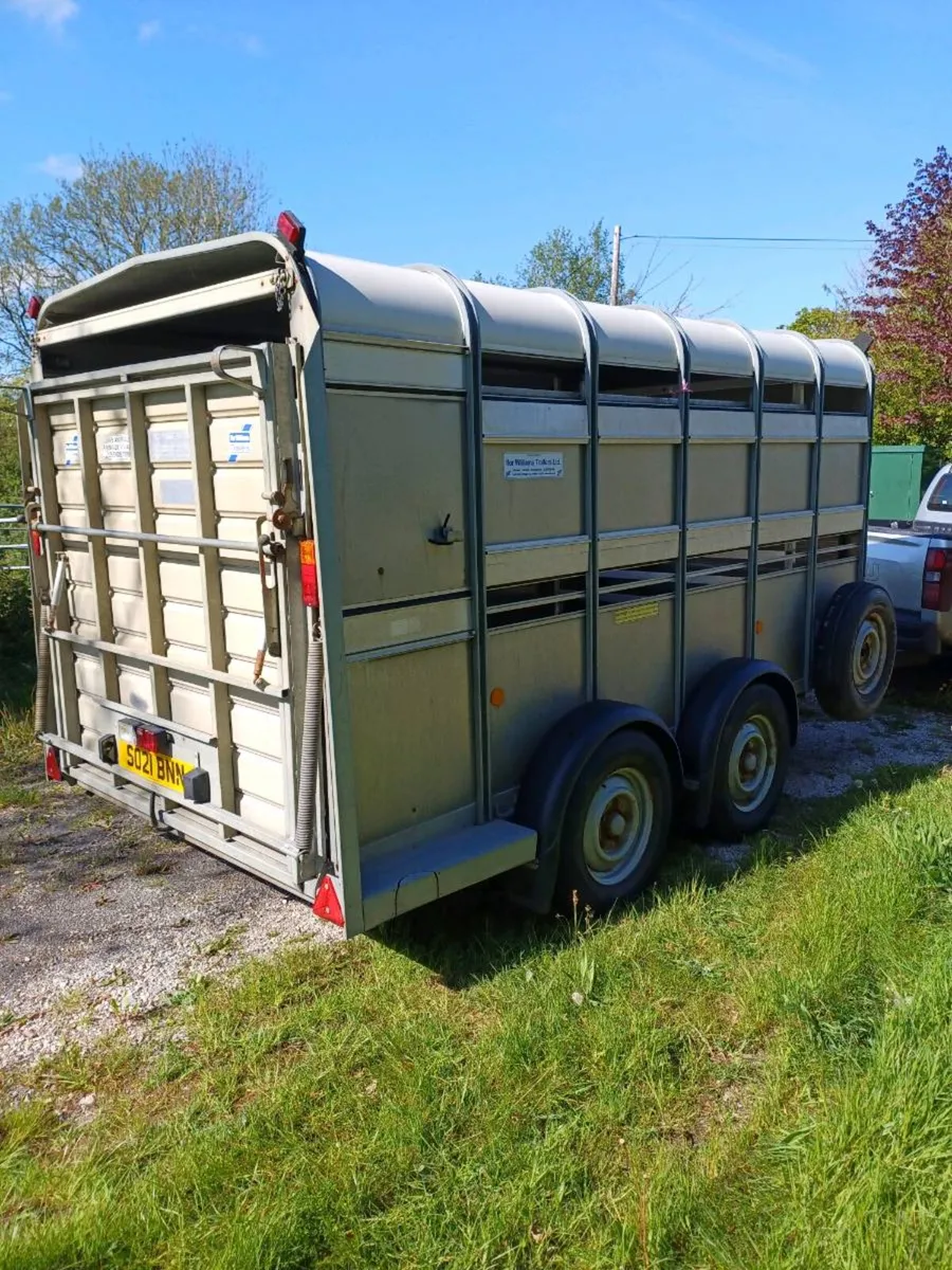 Ifor williams 12 x 6 livestock trailer €5450 - Image 2