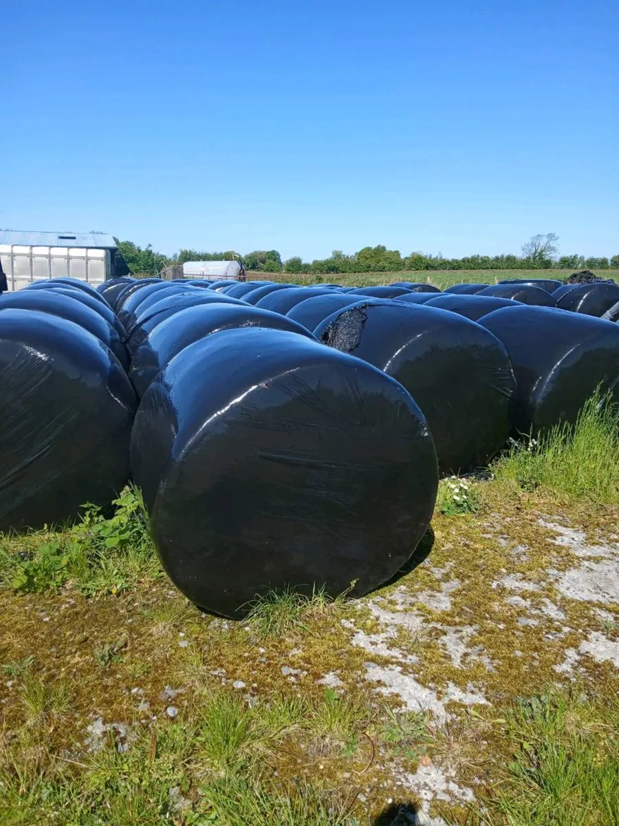 Silage