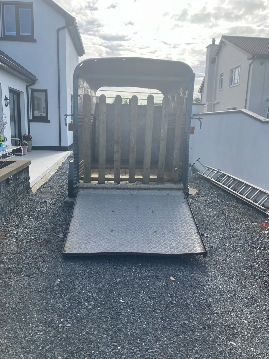Cattle Trailer - Image 4