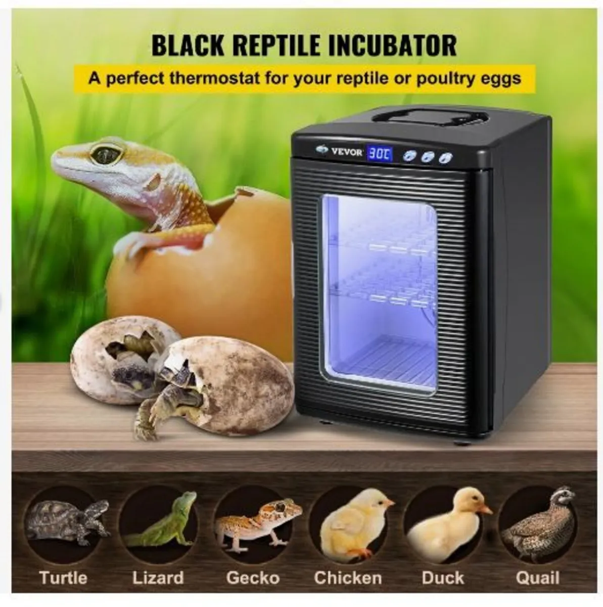 Black Reptile Incubator 25L - Image 3