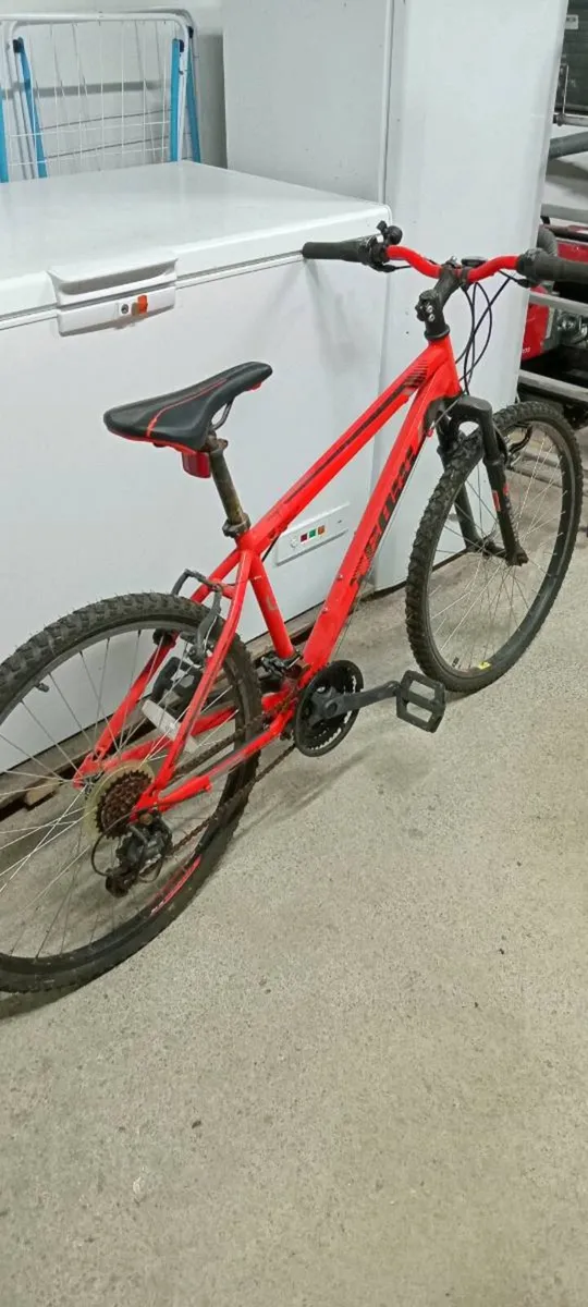 Bike - Image 1