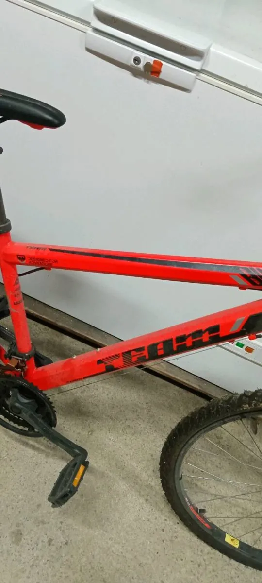 Bike - Image 2