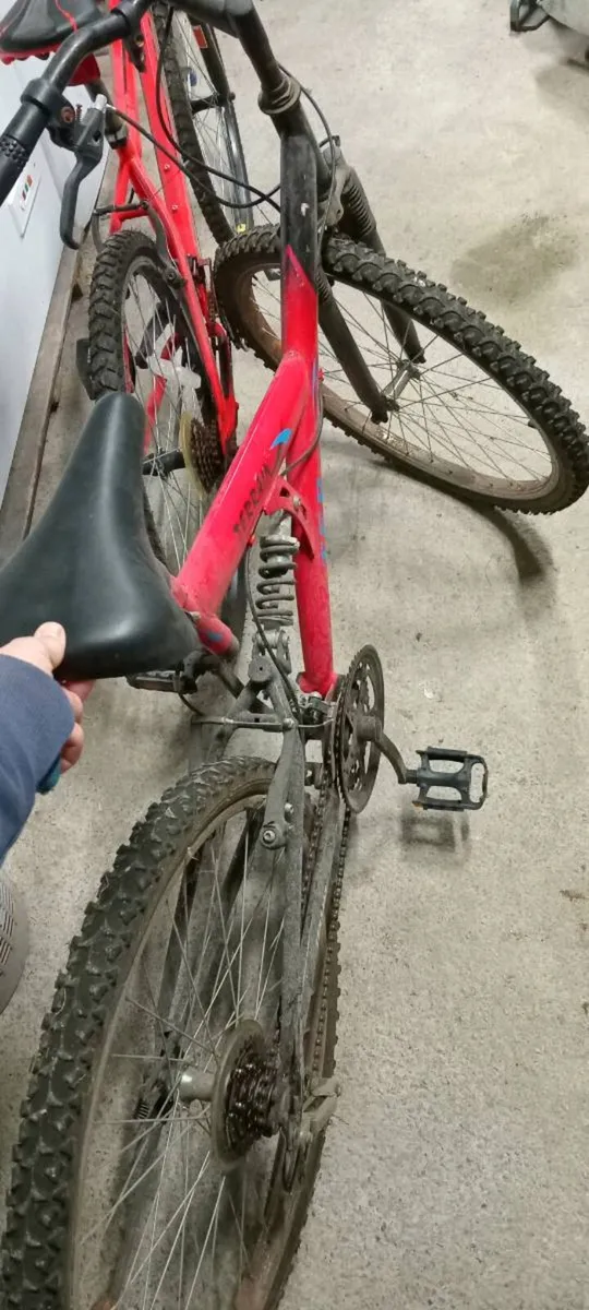 Bike - Image 1