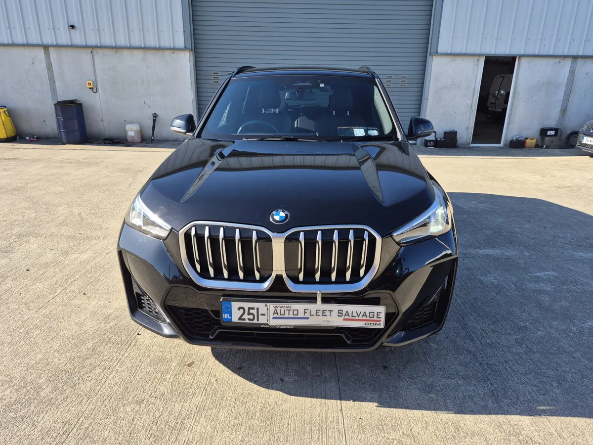 251 BMW X1 SDRIVE 18D M-SPORT AUTO - Image 2