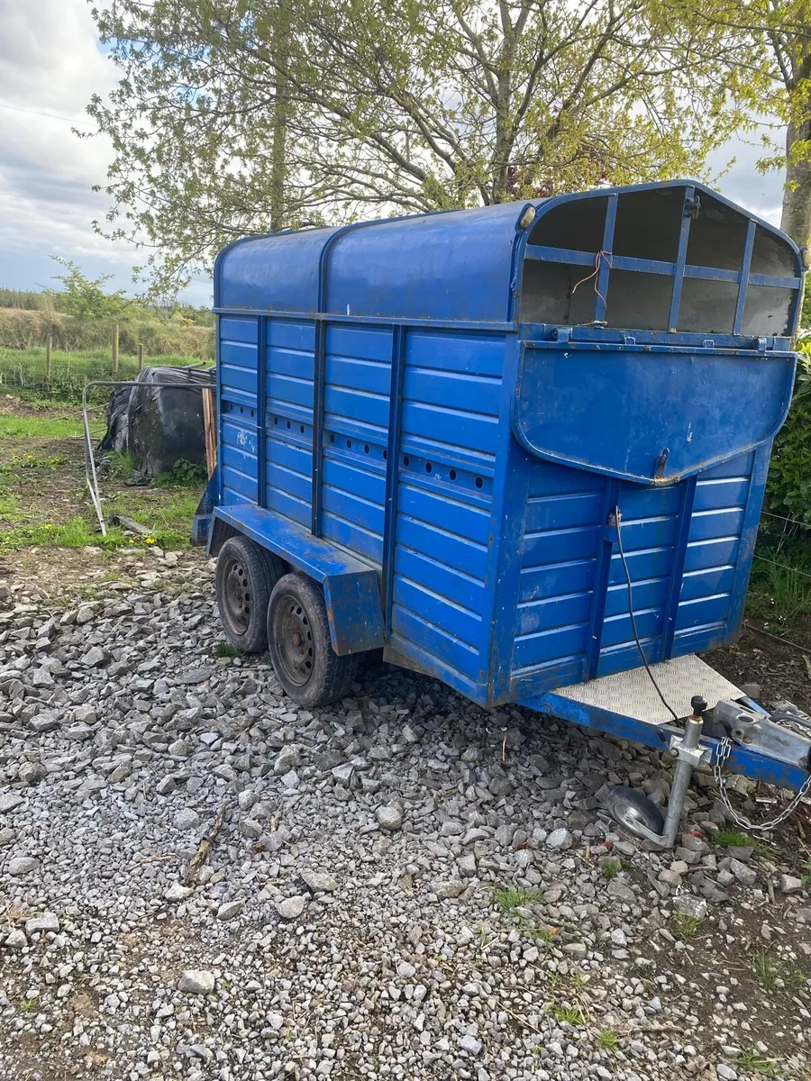 Cattle/sheep trailer - Image 1