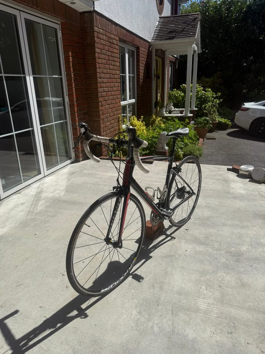 Giant Defy - Image 4