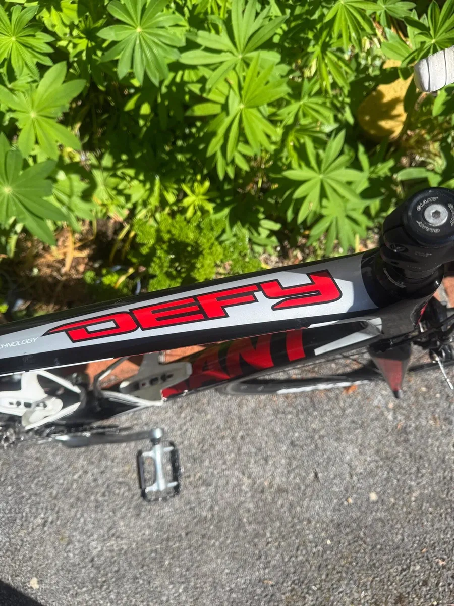 Giant Defy - Image 2