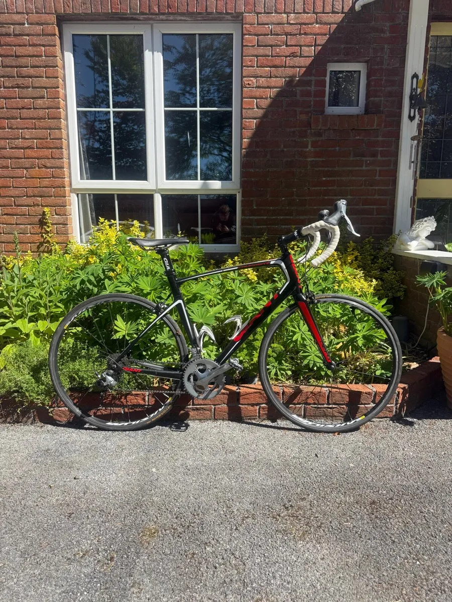 Giant Defy - Image 3